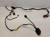 Front door wiring loom