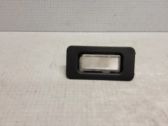 Front door handle light (exterior)
