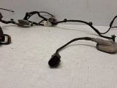 Front door wiring loom