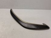 Other front door trim element