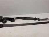 Rear seatbelt