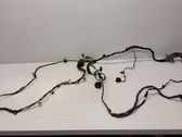 Front door wiring loom