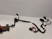 Front door wiring loom