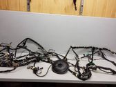 Other wiring loom