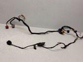 Front door wiring loom