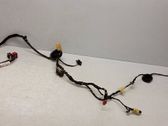 Front door wiring loom
