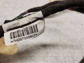 Front door wiring loom