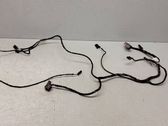 Front door wiring loom