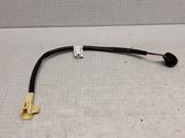 Other wiring loom