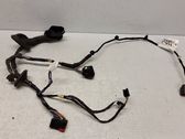 Rear door wiring loom