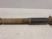 Rear shock absorber/damper