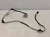 Front door wiring loom