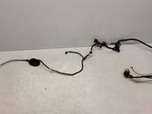 Front door wiring loom
