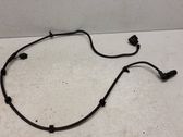 Other wiring loom
