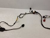 Front door wiring loom