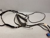 Loading door wiring loom