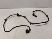Other wiring loom