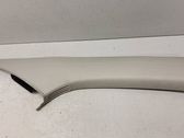 (A) pillar trim