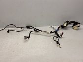Front door wiring loom