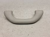 Front interior roof grab handle