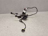 Rear door wiring loom