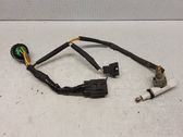 Headlight/headlamp wiring loom/harness