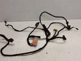 Front door wiring loom