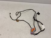 Front door wiring loom