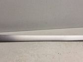Rear door card trim