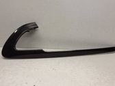 Other front door trim element