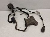 Rear door wiring loom