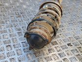 Front shock absorber/damper