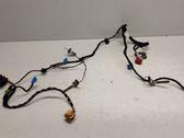 Other wiring loom