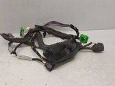 Front door wiring loom