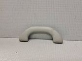 Front interior roof grab handle