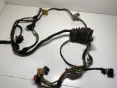 Front door wiring loom