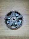 Camshaft pulley/ VANOS