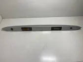 Trunk door license plate light bar