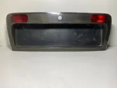 Trunk door license plate light bar