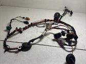 Front door wiring loom