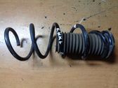 Front coil spring