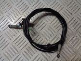Cable de apertura del capó/tapa del motor