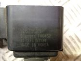 High voltage ignition coil