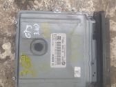 Engine control unit/module ECU