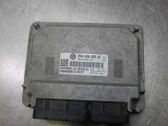 Injection control unit/module