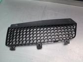 Front bumper lower grill