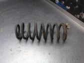 Muelle espiral trasero