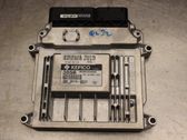 Injection control unit/module