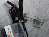 Luz interna puerta trasera