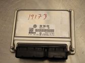 Injection control unit/module